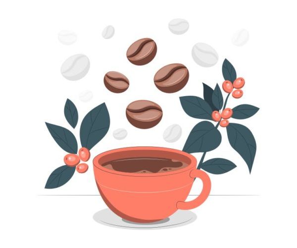 americano nedir