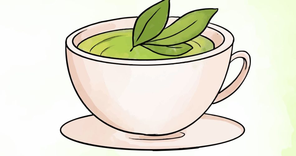 yeşil çayın faydaları